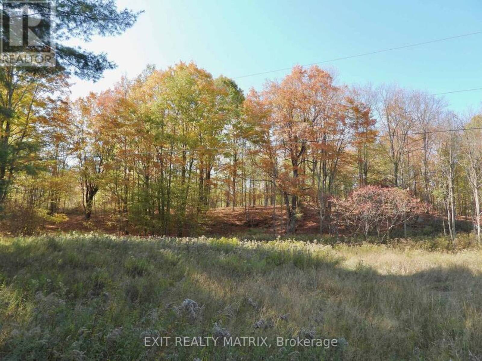 LOT 2 WOODLAND PARK DRIVE, Arden, Ontario K0H 1B0
