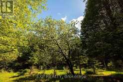 1493 5TH CONCESSION B DALHOUSIE ROAD | Lanark Ontario | Slide Image Thirty-seven