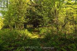 1493 5TH CONCESSION B DALHOUSIE ROAD | Lanark Ontario | Slide Image Forty
