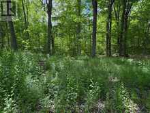 325 CEDAR SANDS ROAD | Leeds and the Thousand Islands Ontario | Slide Image Thirteen