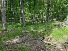 325 CEDAR SANDS ROAD | Leeds and the Thousand Islands Ontario | Slide Image Seventeen