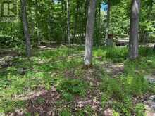 325 CEDAR SANDS ROAD | Leeds and the Thousand Islands Ontario | Slide Image Nineteen