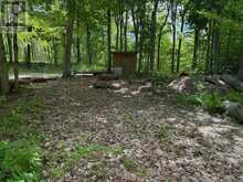325 CEDAR SANDS ROAD | Leeds and the Thousand Islands Ontario | Slide Image Two