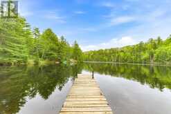 176 LITTLE BAY LANE | Greater Madawaska Ontario | Slide Image Nineteen