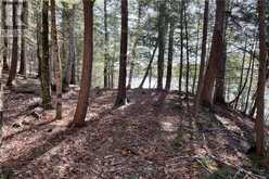 131 SHADY MAPLE ROAD | Greater Madawaska Ontario | Slide Image Twelve