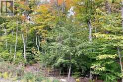 131 SHADY MAPLE ROAD | Greater Madawaska Ontario | Slide Image Eighteen