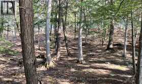 131 SHADY MAPLE ROAD | Greater Madawaska Ontario | Slide Image Eleven