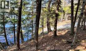 131 SHADY MAPLE ROAD | Greater Madawaska Ontario | Slide Image Ten