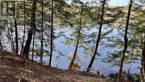 131 SHADY MAPLE ROAD | Greater Madawaska Ontario | Slide Image Nine