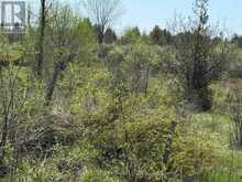 00 WILLIAM CAMPBELL ROAD | Smiths Falls Ontario | Slide Image Nine