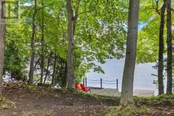 6296 BIG ISLAND | Rideau Lakes Ontario | Slide Image Forty-one