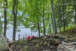 6296 BIG ISLAND | Rideau Lakes Ontario | Slide Image Forty-three
