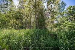 PART LOT 21 CONCESSION 2 3 ROAD | North Stormont Ontario | Slide Image Eight