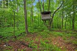 18668 KENYON CONCESSION 2 ROAD | North Glengarry Ontario | Slide Image Thirty-five