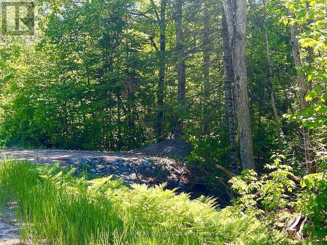 00 BUCKSHOT LAKE ROAD Addington Highlands Ontario, K0H 1L0 - Vacant Land For Sale