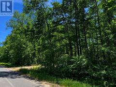 0 BUCKSHOT LAKE ROAD Addington Highlands Ontario, K0H 1L0