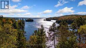 67 BIRCH HILL LANE | Greater Madawaska Ontario | Slide Image Fifty