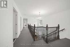41 WHOOPING CRANE RIDGE | Ottawa Ontario | Slide Image Nineteen