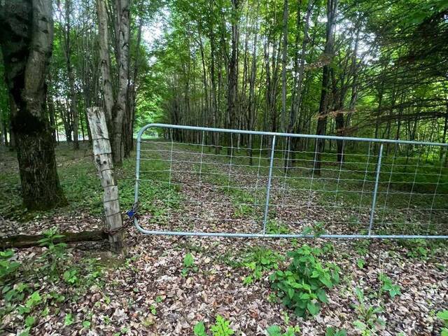 1947 ROUTE 100 The Nation Ontario, K0A 2M0 - Vacant Land For Sale