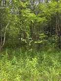 00 RICHARDSON ROAD | Merrickville Ontario | Slide Image Nineteen