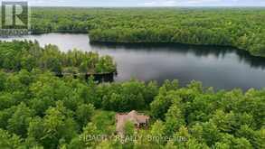 1492 DEVIL LAKE ROAD | Inverary Ontario | Slide Image Forty-seven