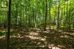 TBD SCOTT LANE | Rideau Lakes Ontario | Slide Image Seventeen