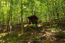 TBD SCOTT LANE | Rideau Lakes Ontario | Slide Image Eighteen