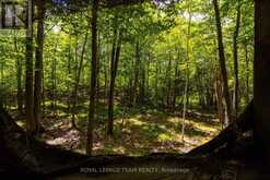 TBD SCOTT LANE | Rideau Lakes Ontario | Slide Image Nineteen