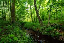 TBD SCOTT LANE | Rideau Lakes Ontario | Slide Image Thirteen