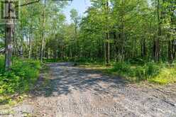 LOT 20 CONCESSION 4 ROAD | Alfred and Plantagenet Ontario | Slide Image One