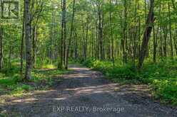 LOT 20 CONCESSION 4 ROAD | Alfred and Plantagenet Ontario | Slide Image Two