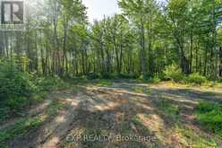 LOT 20 CONCESSION 4 ROAD | Alfred and Plantagenet Ontario | Slide Image Three