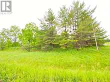 LOT 1 MADAWASKA BOULEVARD | Arnprior Ontario | Slide Image Three
