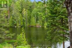 1779 CENTENNIAL LAKE ROAD | Greater Madawaska Ontario | Slide Image Forty-two