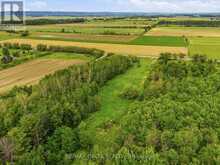 PT LT 5 CON 5 PART 2,3,5,6 ROAD | Alfred and Plantagenet Ontario | Slide Image Eight