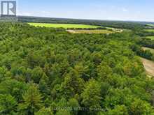 PT LT 5 CON 5 PART 2,3,5,6 ROAD | Alfred and Plantagenet Ontario | Slide Image Nine