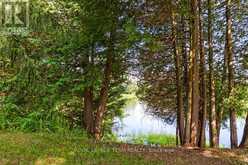 17 MARIC TRAIL | Kemptville Ontario | Slide Image Forty