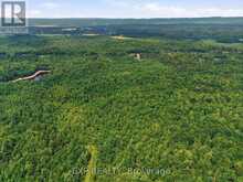 00 A1 CONCESSION ROAD 4 ROAD | Alfred and Plantagenet Ontario | Slide Image Six