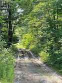 00 B CONCESSION ROAD 4 ROAD | Alfred and Plantagenet Ontario | Slide Image Twelve