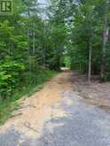 00 B CONCESSION ROAD 4 ROAD | Alfred and Plantagenet Ontario | Slide Image Seventeen
