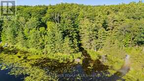 00 LITTLE SILVER LAKE ROAD | Tay Valley Ontario | Slide Image Ten
