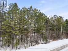 LOT 69 DRUMMOND CONCESSION 5B ROAD | Perth Ontario | Slide Image Fifteen