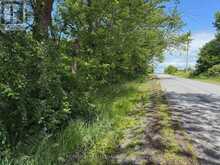 231 WELLINGTON (PIN-451060369) STREET | Greater Napanee Ontario | Slide Image Three