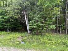 14 LUMBERJACK TRAIL | Perth Ontario | Slide Image Two
