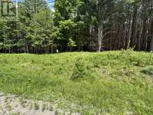 25 LUMBER JACK TRAIL | Perth Ontario | Slide Image Two