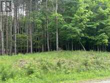 2 MAPLE BUSH TRAIL | Perth Ontario | Slide Image Two