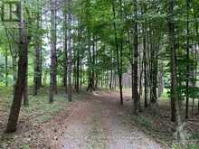 2 MAPLE BUSH TRAIL | Perth Ontario | Slide Image Four