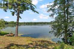39B CEDAR SANDS ROAD | Rideau Lakes Ontario | Slide Image Forty