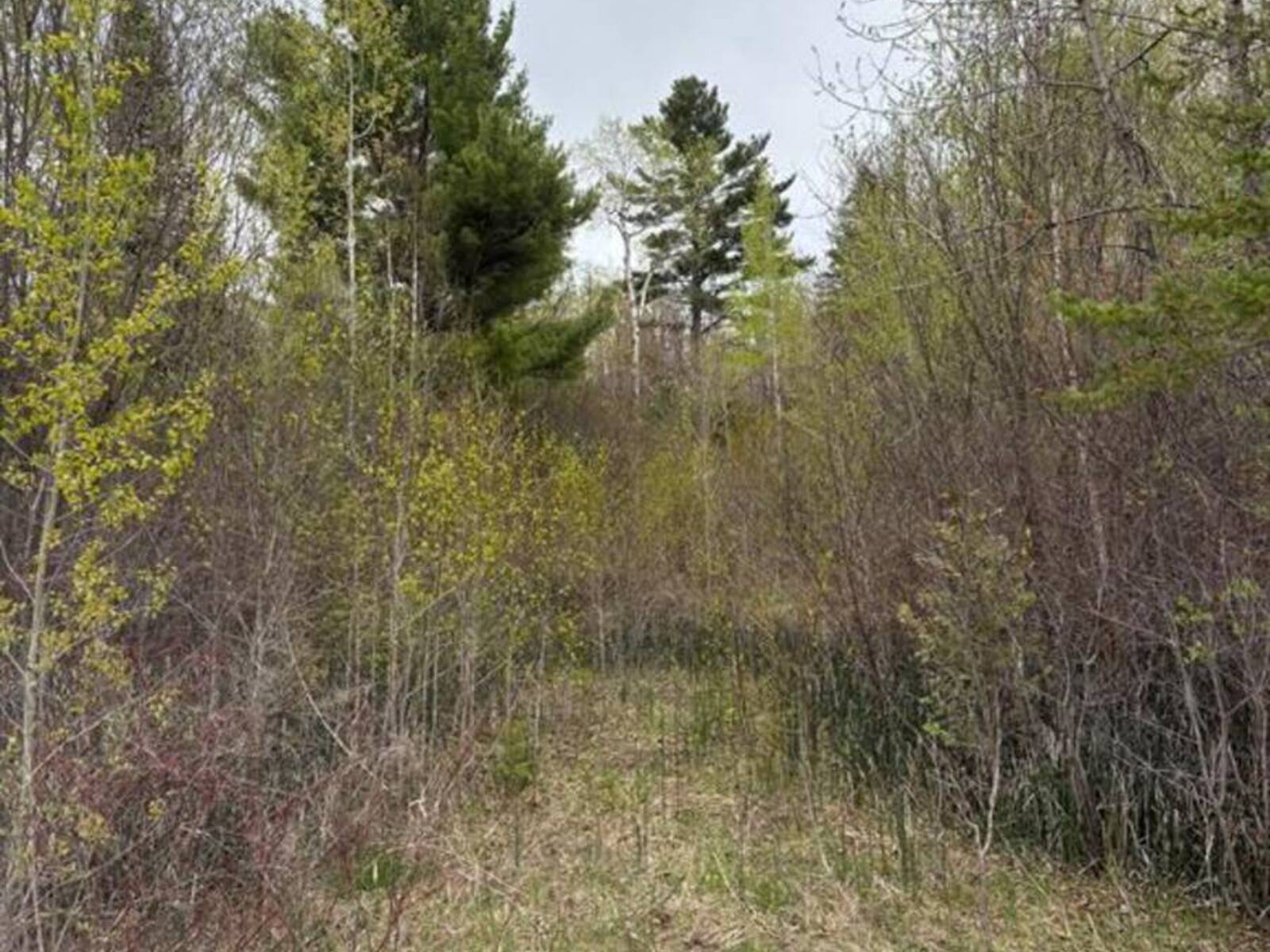 2035 VENTNOR ROAD, Edwardsburgh-Cardinal, Ontario K0E 1X0