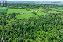 N/A (PART LOT 16, CON 2) COUNTY 17 ROAD | Alfred and Plantagenet Ontario | Slide Image Seven